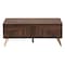 Baxton Studio Graceland Mid-Century Modern Transitional Walnut Brown Finished Wood 2-Drawer Coffee Table 233-13273-ZORO - alternate 3